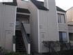 3687 S Stoneglen 