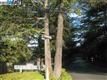 3253  Monika Ln , Hayward, CA