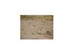 14745  Horizon Vista , Horizon, TX