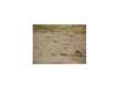 14733  Horizon Vista , Horizon, TX