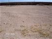 320  Sand Gate , Horizon, TX