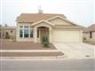409  Desert Chicory Street , Horizon, TX