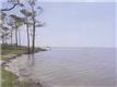 Gulf Breeze