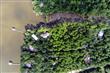 LOT 11  Adair Ln , Santa Rosa Beach, FL