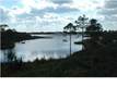 38  Creek Bridge Ln , Watersound, FL