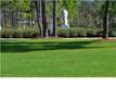 55  Sugar Loaf Alley , Alys Beach, FL