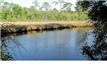 L. 33-B.9  Canal Dr , Point Washington, FL