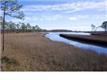 6408  East Sundew Marsh , Panama City, FL