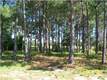 1515  Island Green Dr , Miramar Beach, FL