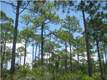 LOT 34W  Woodland Bayou Dr , Santa Rosa Beach, FL