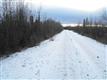 6050 N Homesite Court, Salcha, AK 99714