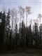 1849 Fiddle Way, Fairbanks, AK 99709