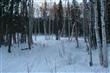 NHN  Whistling Swan Drive , Fairbanks, AK