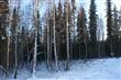 NHN  Whistling Swan Drive , Fairbanks, AK
