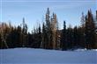 NHN  Whistling Swan Drive , Fairbanks, AK