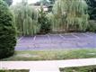 154 Cold Spring Rd #82, Stamford, CT 06905