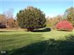 215(A)  Belden Hill Rd , Wilton, CT