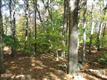 28 S Tannery Ln, Weston, CT 06883