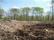 28 S Tannery Ln, Weston, CT 06883