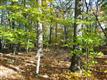 28 S Tannery Ln, Weston, CT 06883