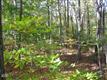 28 S Tannery Ln, Weston, CT 06883