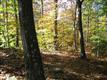 28 S Tannery Ln, Weston, CT 06883