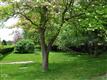 11 Orchard St, Greenwich, CT 06807
