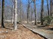 772  Wilton Rd , New Canaan, CT