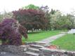 32 Overlook Dr, Ridgefield, CT 06877