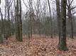100 Hickory Knoll Dr, Easton, CT 06612