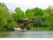 436  Candlewood Lake Road , Brookfield, CT