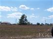 1137 NW 19th Ave , Cape Coral, FL