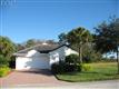 15139  Ligustrum Ln 