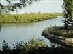 27725  Forester Dr , Bonita Springs, FL