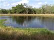 6778  Loblolly Bay Rd , Muse, FL
