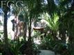 3872  Mango St 