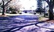 5565  Trailwinds Dr , Fort Myers, FL