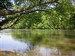 3991 Paces Ferry Drive SE, Atlanta, GA 30339
