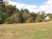 Suwanee