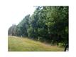 Suwanee