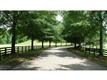 111 Allmond Lane, Alpharetta, GA 30004
