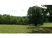 111 Allmond Lane, Alpharetta, GA 30004