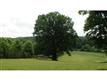 111 Allmond Lane, Alpharetta, GA 30004