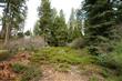 40834  Wild Iris Ln , Shaver Lake, CA