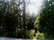 40954  Cold Springs Ln , Shaver Lake, CA