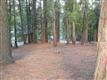 42258  Elderberry Ln , Shaver Lake, CA