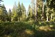 42603  Granite Cir , Shaver Lake, CA