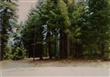41679  Timber View Ln , Shaver Lake, CA