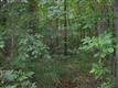 0  Silverthorn Dr , Tyrone, GA