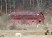 360 Two Sisters Trl, Clayton, GA 30525
